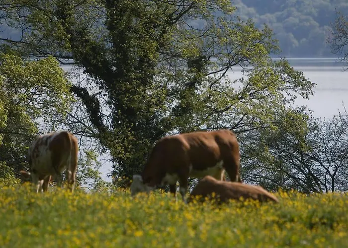 Seeblick ホテル Bernried am Starnberger See